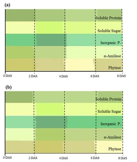 Scielo Brasil Hydrolytic Enzyme Activity Phytase And Amylase Is