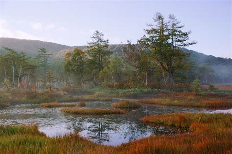 Yun Free Stock Photos No Autumn Of The Marshland Japan Gunma