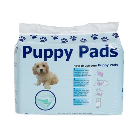 Can You Train A Puppy To Use Pads And Go Outside