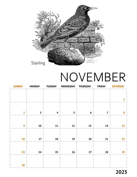 monthly calendar november   stock photo public domain pictures