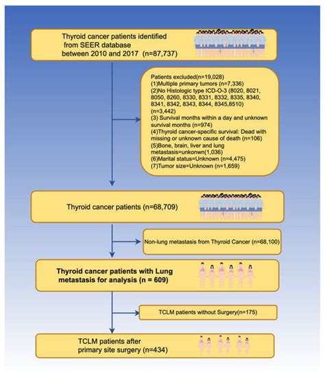 Biomedicines Free Full Text The Effect Of Radioiodine Therapy On