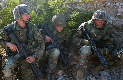 marine corps usmc marine infantry officer candidates infantry