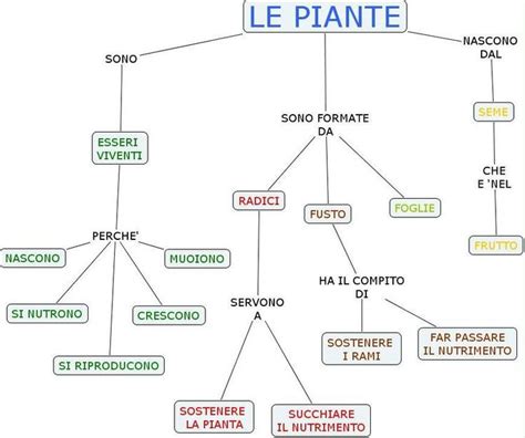 Pin Di Claris Martewall Su Mappe Nel Scienza Lezioni Di Scienze