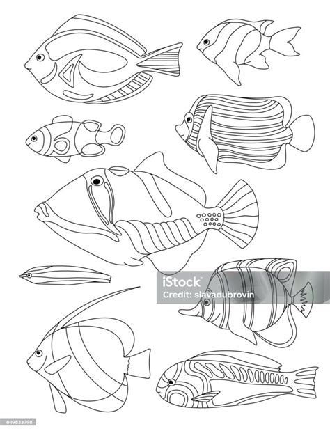 Coloring Pages Of Coral Reef Fish