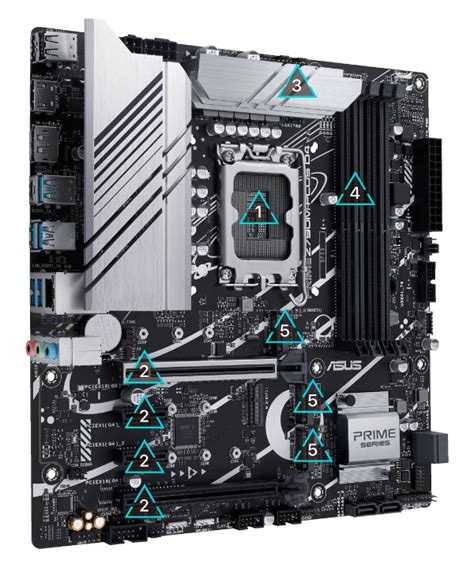 Asus Z M Plus Prime D Intel Lga Microatx Motherboard Invastor