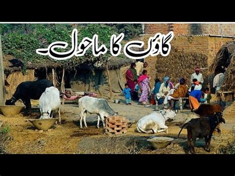 Village Life Home Tour Pakistan Village Life Gaon Ka Mahol