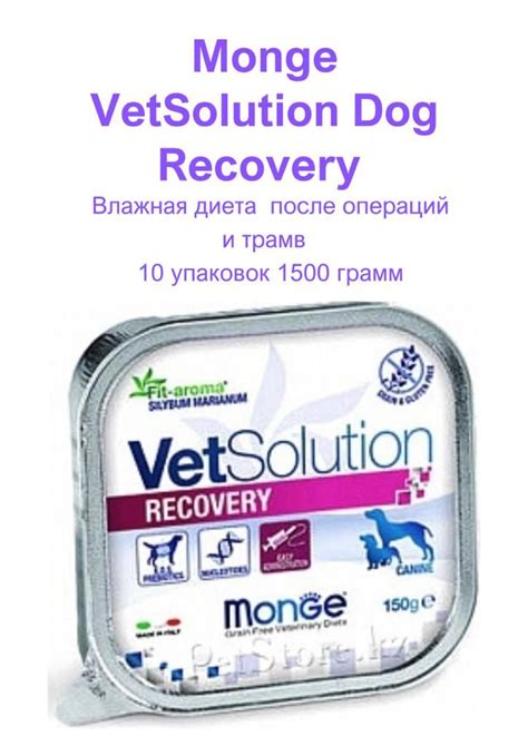 Monge VetSolution Recovery востановительный паштет для собак 150 грамм ...