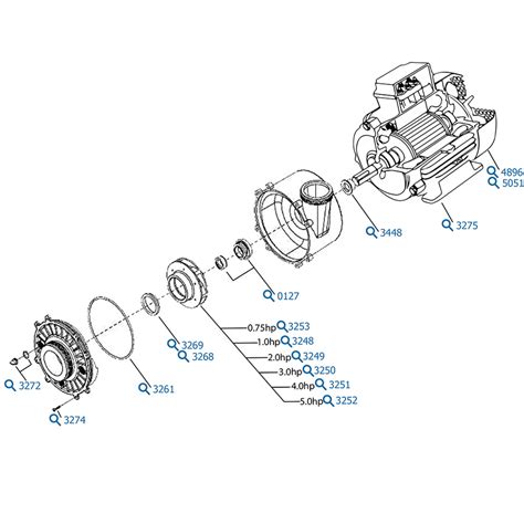 Waterway Executive Spa Pump Wiring Diagram Waterway Spa Pump Wiring