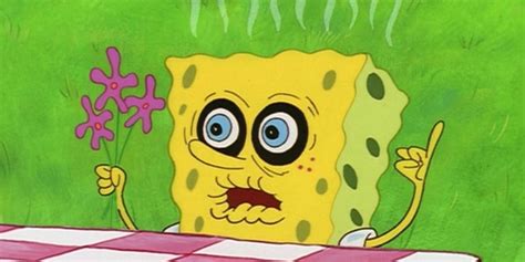 The 10 Most Iconic Episodes Of Spongebob Squarepants Ranked