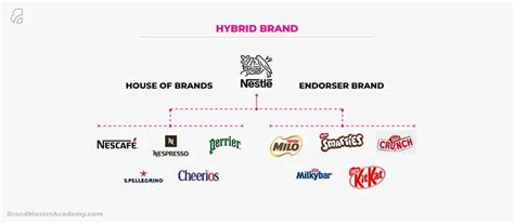 What Is A Brand Portfolio Models Types And Top Examples