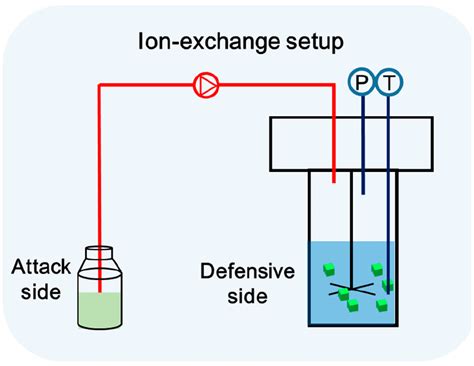 Experimental Setup Of The Ion Exchange Process Download Scientific