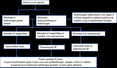 Algorithme De Prise En Charge De La P Ritonite Ent Rocoque