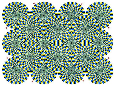 optical illusions     mess   brain curious read