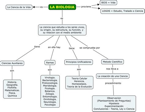 Mapa Conceptual De Biolog A Gu A Paso A Paso