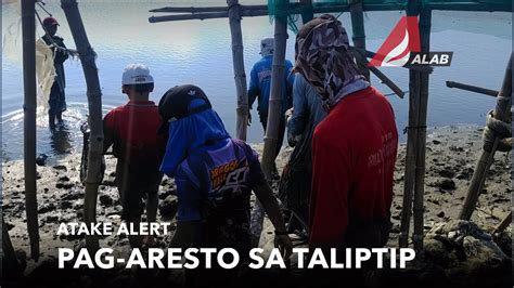 Atake Alert Pag Aresto Sa Taliptip ALAB Newscast YouTube