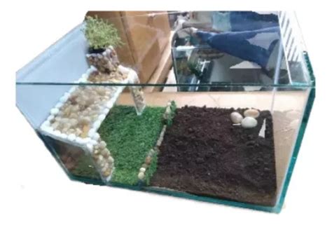 Terrário Para Jabuti Parcelamento sem juros