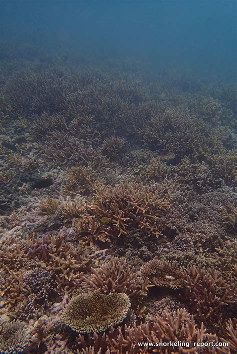 Snorkeling in Kanumera Bay, Isle of Pines | Snorkeling in New Caledonia