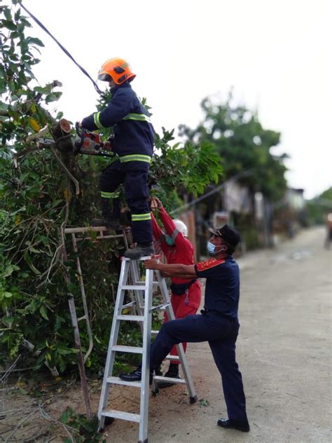 Giat Damkar Hari Ini Tim Rescue Evakuasi Pohon Tumbang Dinas Pemadam