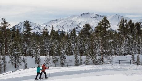 Snowshoeing just outside mammoth lakes | Mammoth lakes, Mammoth, Travel ...