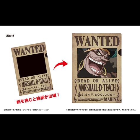 One Piece Wanted Poster Trick File Vol 2 Blackbeard Kyou Hobby Shop