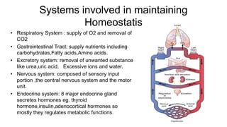 Homeostatis Pptx