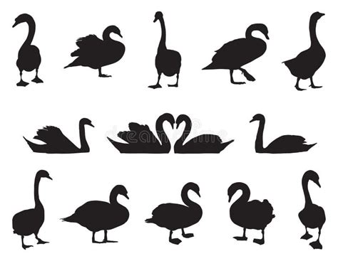 Swans Silhouettes Stock Illustrations 106 Swans Silhouettes Stock