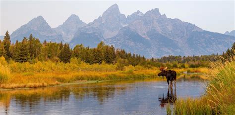 Fall In Jackson Hole The Cloudveil