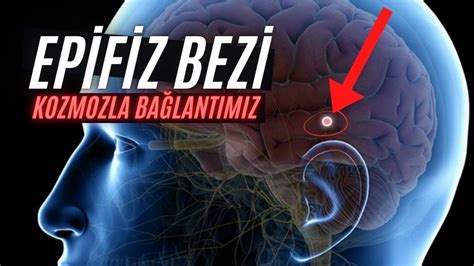 Epifiz Bezi Kozmozla Bağlantımız YouTube