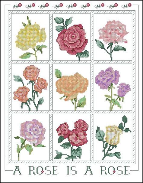 A Cross Stitch Pattern With Different Flowers On The Front And Back Of