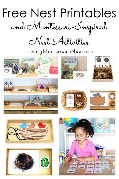 Free Nest Printables and Montessori-Inspired Nest Activities - Living ...