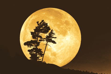 full moon gifts   earth geologic