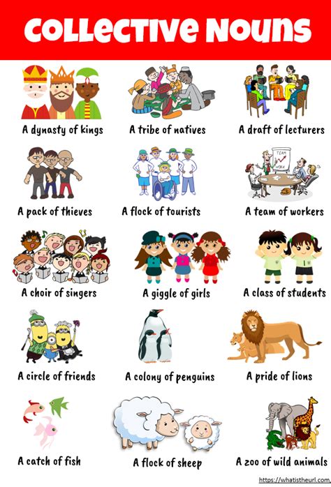 Collective Nouns For Class 2