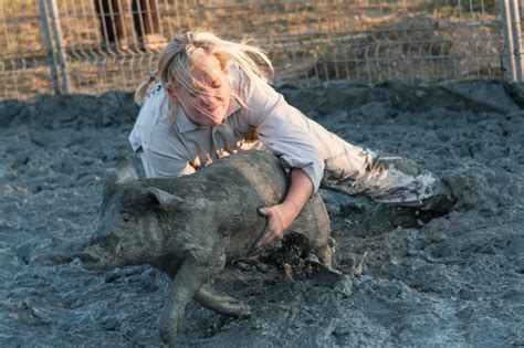 La SPCA dénonce des activités au Festival du cochon de Sainte Perpétue