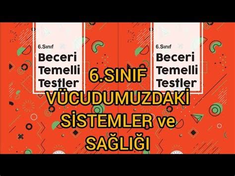 S N F Fen Bilimleri Dersi Meb Beceri Temelli Testler Nite