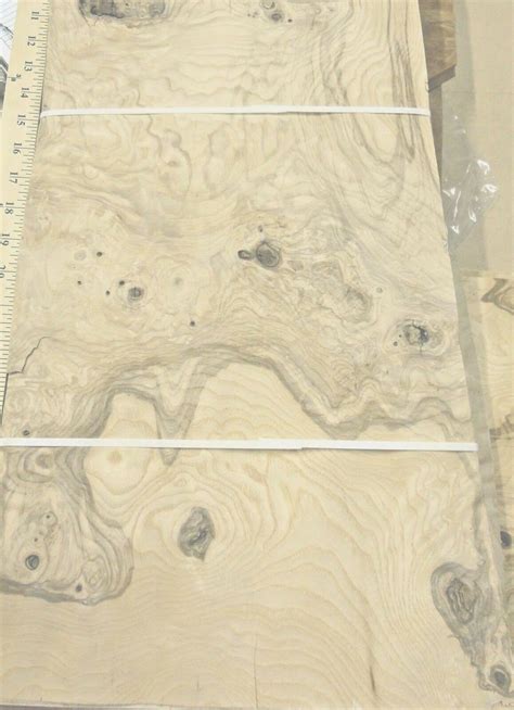 Olive Ash Burl Wood Veneer 10 X 17 Raw With No Backing 142 Thickness A