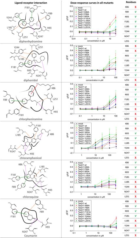 2d Representation Of Predicted Binding Modes Mutagenesis Data And