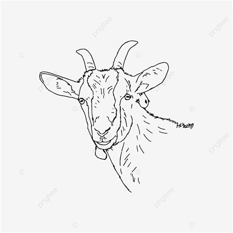 Goat Drawing Outline