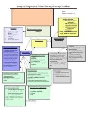 Ob Day Week Concept Map Docx Analysis Diagram For Patient Priority