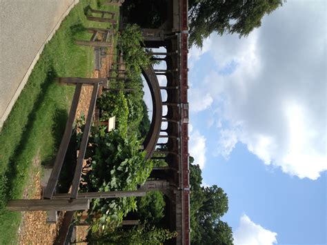 Fast Friday: Park Drive Bridge - History Atlanta