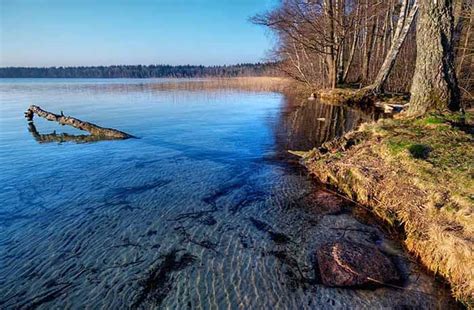 Озеро Нобель на Поліссі: як дістатися, де зупинитися - Укр-Day