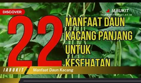 Banyak Yang Belum Tahu Ini 7 Manfaat Daun Kacang Yang Bikin Penasaran