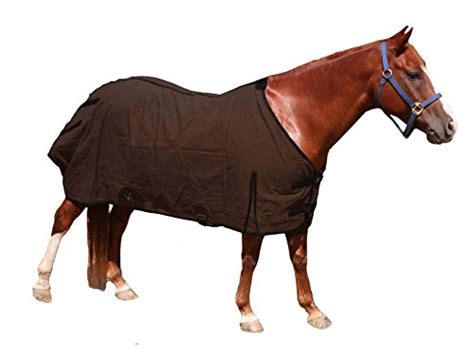 The 9 Best Horse Blankets : Winter, Rain, & Shine - Sport Consumer