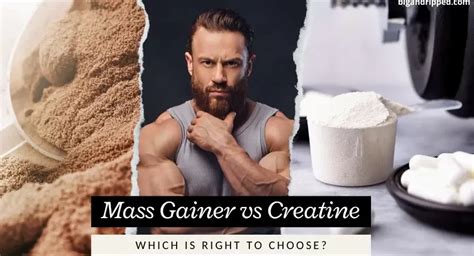 Mass Gainer vs Creatine -Which Is Best? (7 Key Differences)