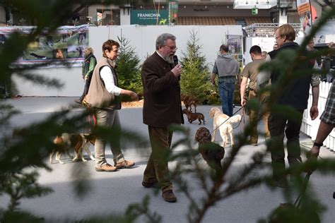 Jagdhunde Auf Der Outdoor Landesjagdverband Schleswig Holstein E V