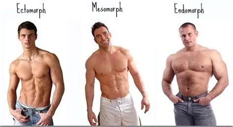 What is Endomorph body type? - Way to Skinny