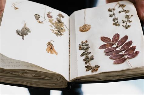 Press + Publications — Janet Laurence