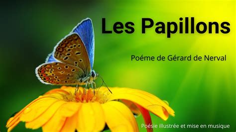 Les Papillons Poésie de Gérard de Nerval l ll Poème Illustré et