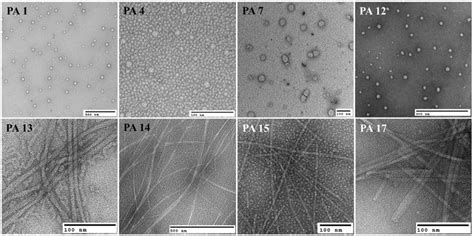 Figure From Design Synthesis And Nanostructure Dependent