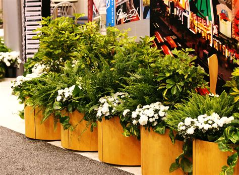 Plant Rental for Las Vegas Trade Shows & Events | Expo Ease