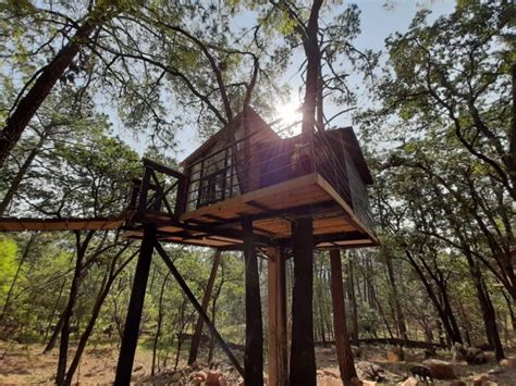 Pinochueco casas del árbol en medio del bosque Escapadas por México